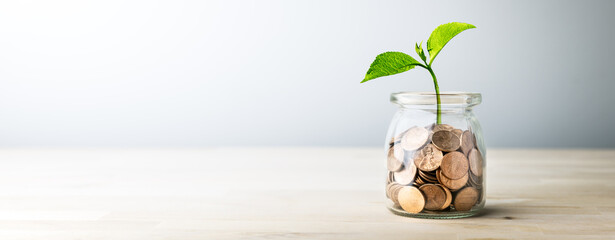 Plant Growing Out Of Coin Jar On Table In Office With Soft Grey Background - Investing And Business...
