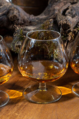 Tasting of aged french cognac brandy alcoholic drink in old cellars of cognac-producing regions Champagne or Bois, France