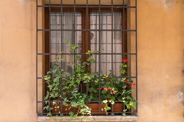 Obraz na płótnie Canvas Window that has a bunch of plants in it.