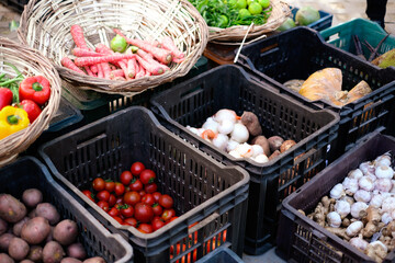 basket of vegetables