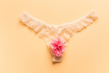 The concept of the reproductive organs of a woman, the vagina in the form of panties. - obrazy, fototapety, plakaty