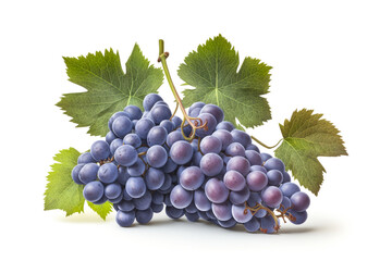 Bunch of ripe, juicy, blue grapes with leaves on a white background. Fruits isolated on a white background. Generative AI