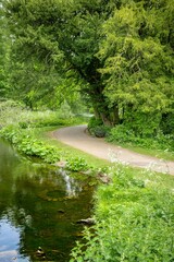 woodland path near a pond with underwater well at Country Park


river in the woods