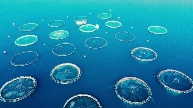 Fish farm in Turkey providing mariculture for global food markets, aerial view