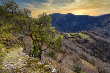 Stone path freom to Pando village, Somiedo Natural Park and Biosphere Reserve, Asturias, Spain