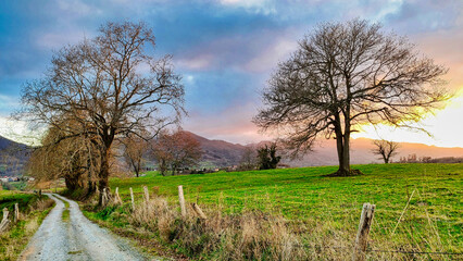 Obraz premium Trail, meadows and rural landscape near Ceceda village, Nava municipality, Asturias, Spain