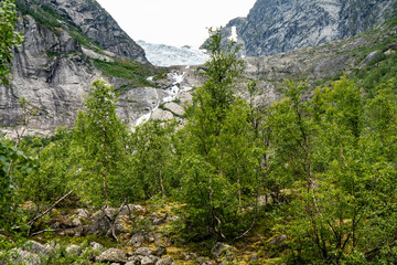 Blick zum Gletscher Tuftebreen, Norwegen