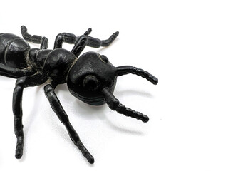 Ant / Toy ant on white background.