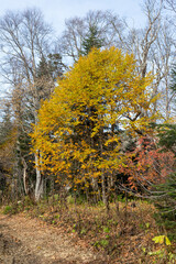 the beginning of autumn in the highlands, nature walks, panoramic views of the mountains, routes and recreation in the mountains.