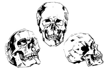 Hand-painted Human skull vector illustration at ink style