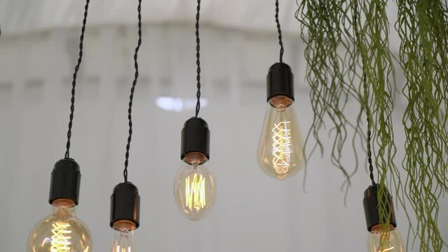 Edison lamps with tungsten filament. Vintage antique decorative light bulbs hang from the ceiling. Interior decoration, event or wedding reception or ceremony.