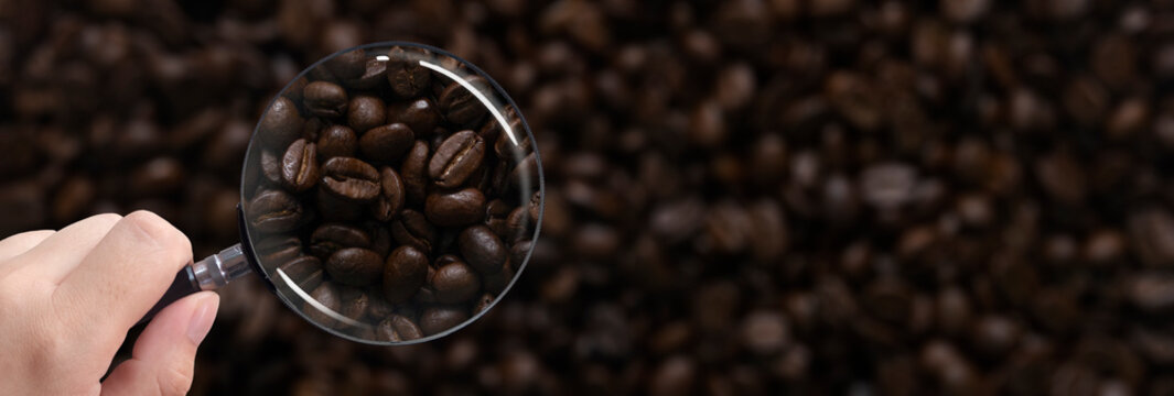 many coffee beans focused by a magnifying glass