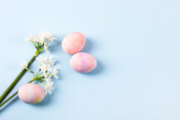 Spring white flowers daffodils and pink Easter eggs on a blue background with space for text. Happy Easter concept. Greeting card, copy space