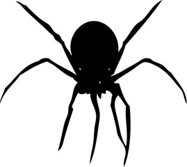 Spider Black and White Illustration
