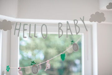 baby, baby shower, welcome, white, green, banner