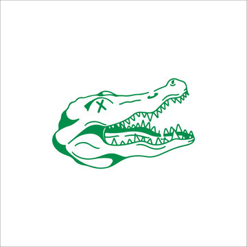 vector illustration of green crocodile head