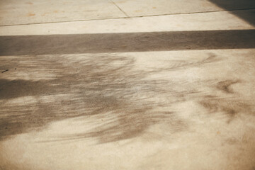 Palm tree shadow on concrete slab, texture background with sunshine