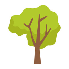 Obraz premium tree icon png image with transparent background