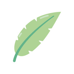 Png icon of a green summer season feather with transparent background