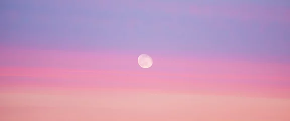 Poster Beautiful backdrop of sunset sky of pink orange lilac colors and moon in center. Colorful smooth dawn sky gradient. Natural background of sunrise. Morning heaven. Slightly cloudy evening atmosphere. © Daniil