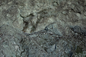 Textures of rocks at the beach, expressing pareidolia (face-like) forms.
