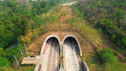 A wildlife corridor bridges reveals a vital connection for wildlife movement over highways or other obstacles. These bridges help prevent habitat fragmentation and allow safe passage for animals. HDR.