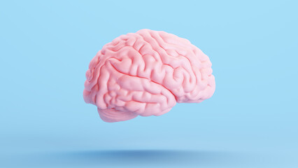 Pink Brain Anatomy Mind Intelligence Medical Organ Science Blue Background Right Side 3d illustration render - 579190373