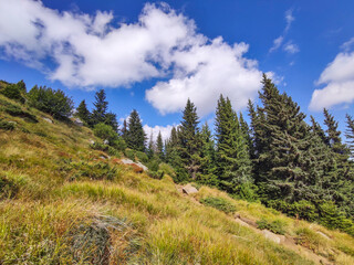 Autumn view of Vitosha Mountain, Bulgaria
