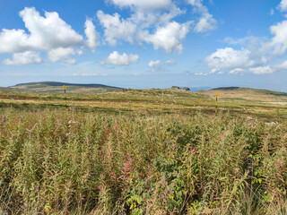 Fototapeta premium Autumn view of Vitosha Mountain, Bulgaria