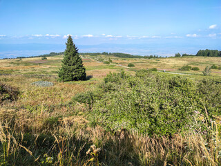 Autumn view of Vitosha Mountain, Bulgaria