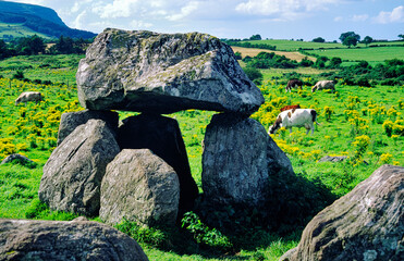 Carrowmore prehistoric megalithic cemetery, Grave 7, with slope of Knocknarea behind. County Sligo,...