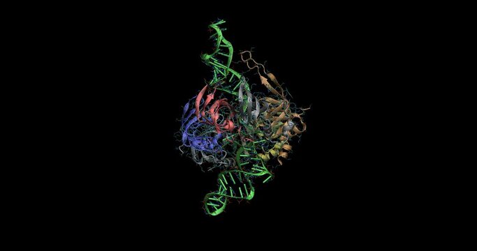 Spliceosome, macromolecular machine, protein 3D molecule 4K