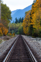 Obraz premium Railroad tracks on mountainside landscape in between colorful autumn leaves and trees in forest of Skykomish, Washington State, USA