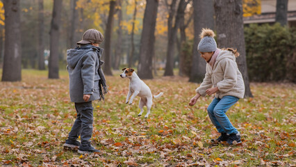 Fototapeta premium Caucasian children are walking with jack russell terrier in autumn park. Boy, girl and dog are jumping outdoors.