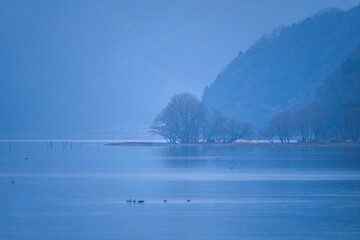 Obraz na płótnie Canvas 早朝の琵琶湖の湖上木の情景＠滋賀
