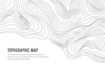 Topographic map, grid, texture, relief contour of terrain. Vector pattern background with mountains and flat land wavy line contours. Abstract monochrome topographic map, topography, cartography theme - obrazy, fototapety, plakaty