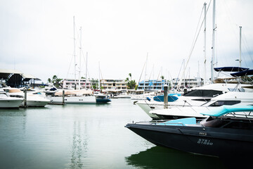 Fototapeta premium Yacht marina, various sea cruise ships for tourist services