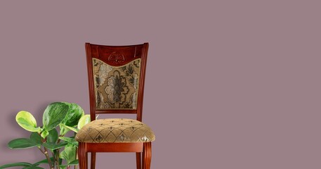 Modern wooden Chair and plant on wall background