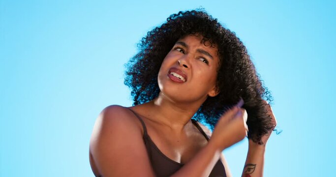 Afro, knot and black woman with comb for hair on blue background with problem, hairstyle frizz and damage. Beauty salon, hairdresser and frustrated girl brushing for wellness, grooming and cosmetics