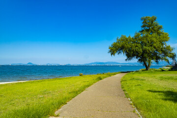 初夏の琵琶湖畔