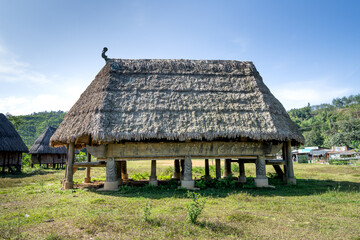 Obraz premium Rong house in Bahnar villages in Highland Vietnam. Rong house is used as a place to organize festivals, village meetings, is the communal house of Bahnar, Jar
