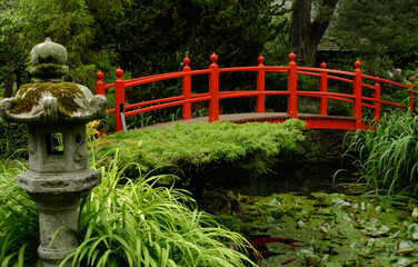 Japanese garden in Ireland