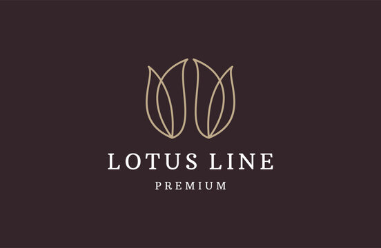 Lotus logo vector design template luxury icon .