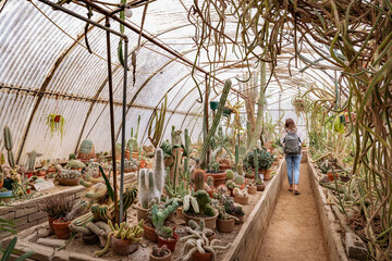 Indoor Cactus Garden
