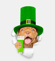 Saint Patrick's Day concept. Happy mastiff puppy wearing hat of the leprechaun with a glass of...