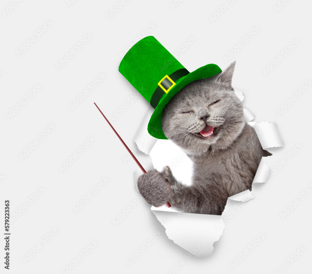 Poster saint patricks day concept. funny cat wearing hat of the leprechaun looks through the hole in white 