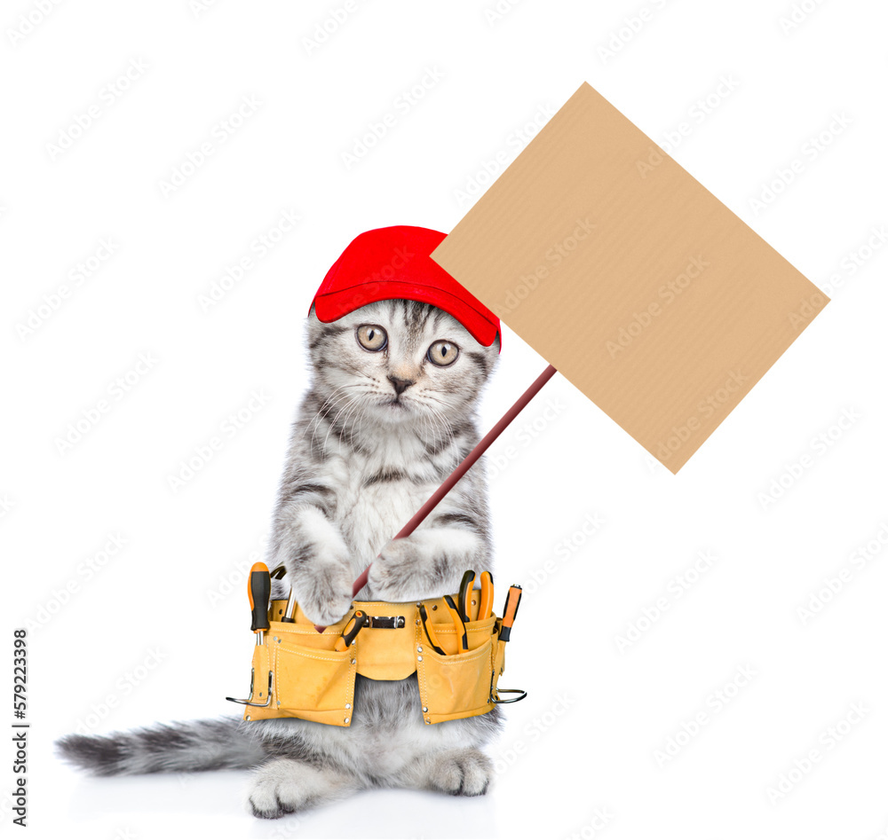 Poster funny cat worker with toolbelt and red cap shows empty placard. isolated on white background