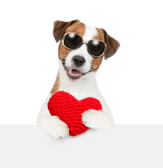 Jack Russel terrier puppy wearing sunglasses holds the red heart above empty white banner. isolated on white background