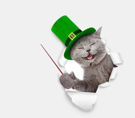 Fototapeta Saint Patricks Day concept. Funny cat wearing hat of the leprechaun looks through the hole in white paper and points away on empty space. isolated on white background. Space for text obraz