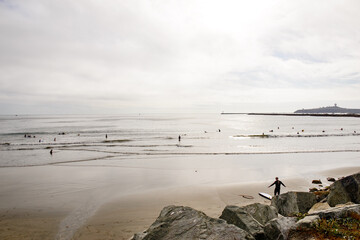 Catching Waves: Surfing on the Beach